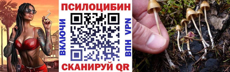 Галлюциногенные грибы Psilocybine cubensis  купить закладку  mega маркетплейс  darknet телеграм  Печора 